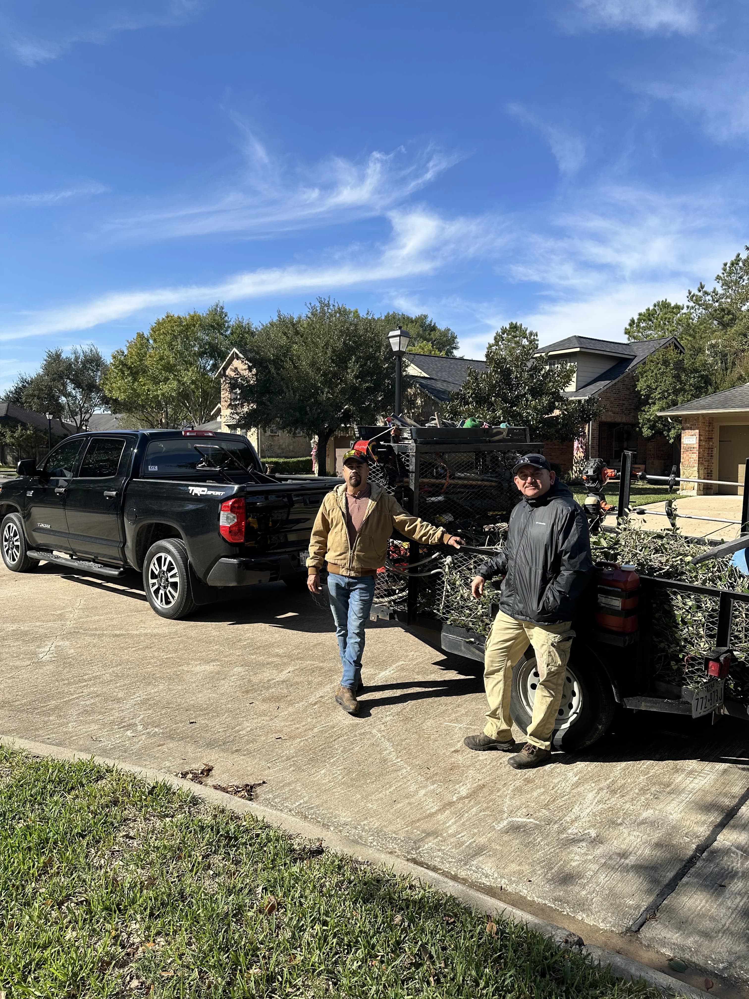Before: Garden Bed Cleanup